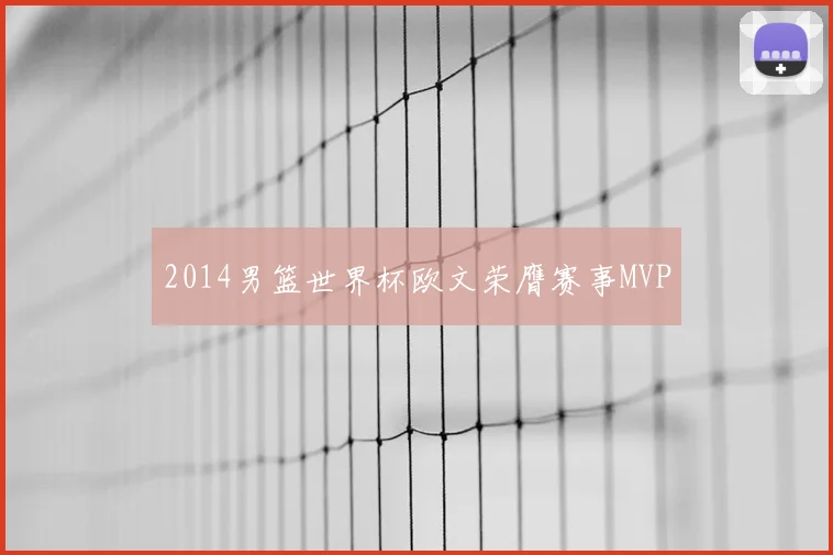 2014男篮世界杯欧文荣膺赛事MVP