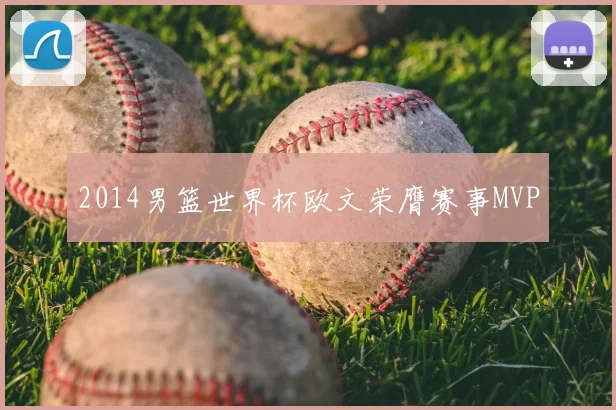 2014男篮世界杯欧文荣膺赛事MVP