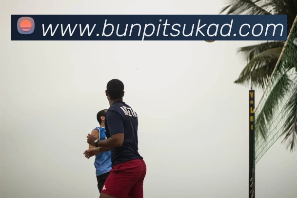 爱游戏体育官网首页品牌故事