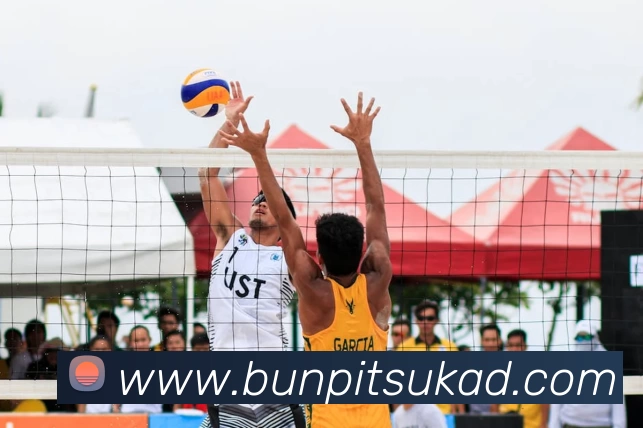 爱游戏体育官网首页服务体系