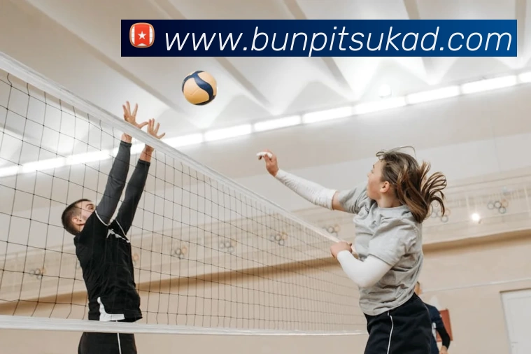 多媒体互动体验